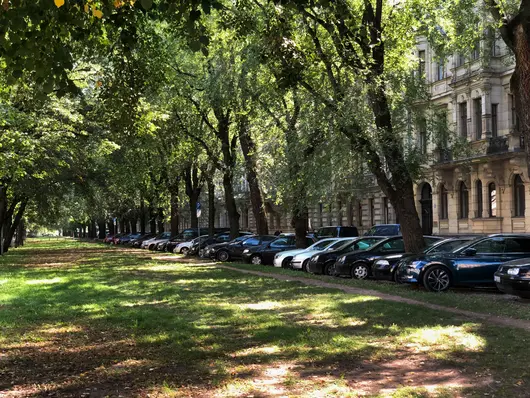 Ansicht parkender Autos unter dem Baumbestand in der Hornschuchpromenade