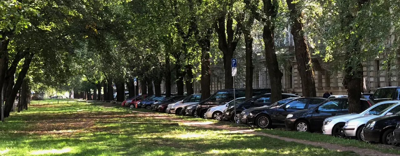 Ansicht parkender Autos unter dem Baumbestand in der Hornschuchpromenade