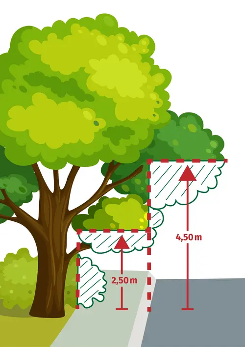 Illustration, die die Schnitthöhe vom 2,50 Meter über dem Gehsteig, bzw. 4,50 Meter über der Fahrbahn veranschaulichen