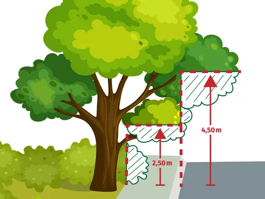 Illustration, die die Schnitthöhe vom 2,50 Meter über dem Gehsteig, bzw. 4,50 Meter über der Fahrbahn veranschaulichen