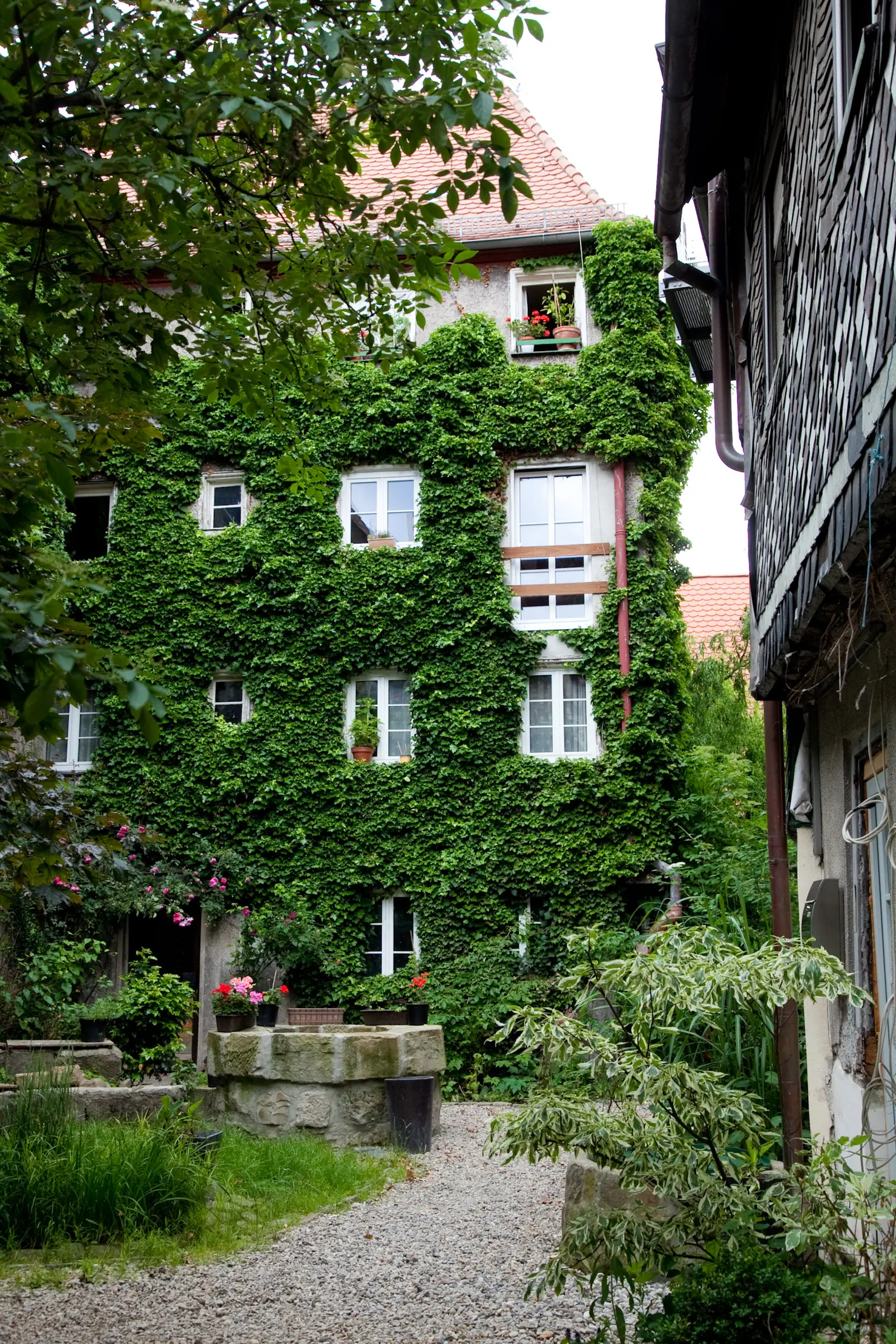 Innenhof und begrüntes Wohnhaus