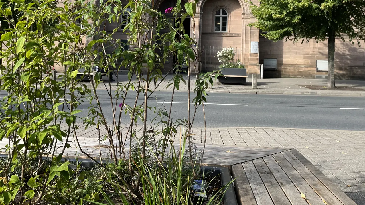 Ein begrüntes Sitzelement mit Blick auf die Eingangstür des Rathauses