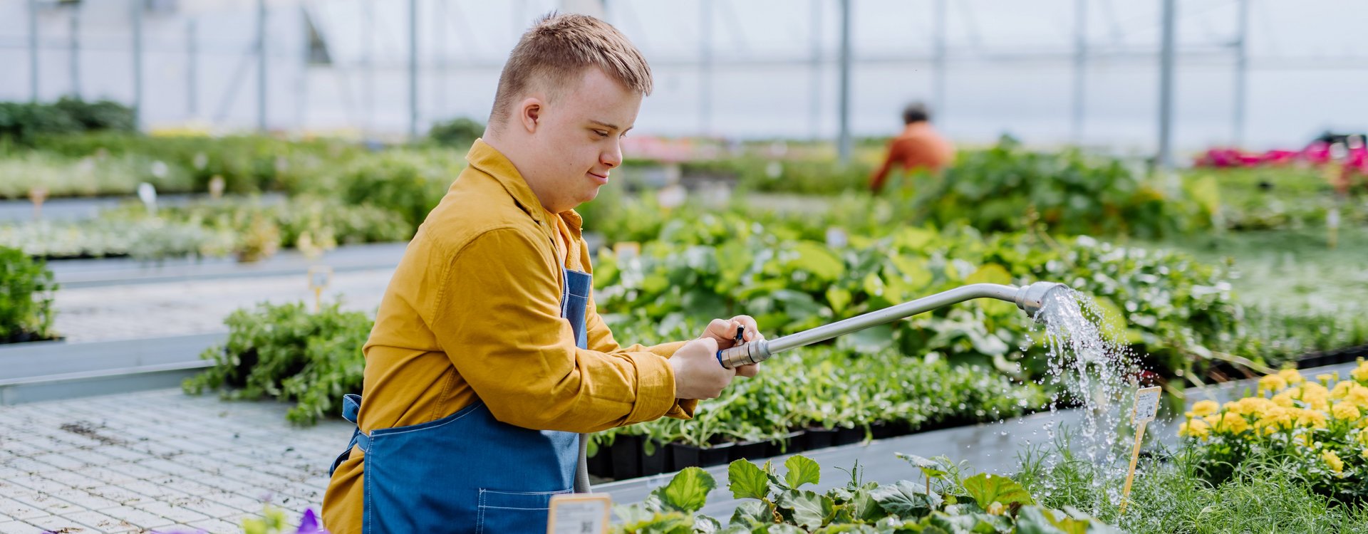 Ein junger Mann mit Downsyndrom wässert Blumen in einem Gewächshaus