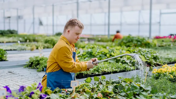 Ein junger Mann mit Downsyndrom wässert Blumen in einem Gewächshaus