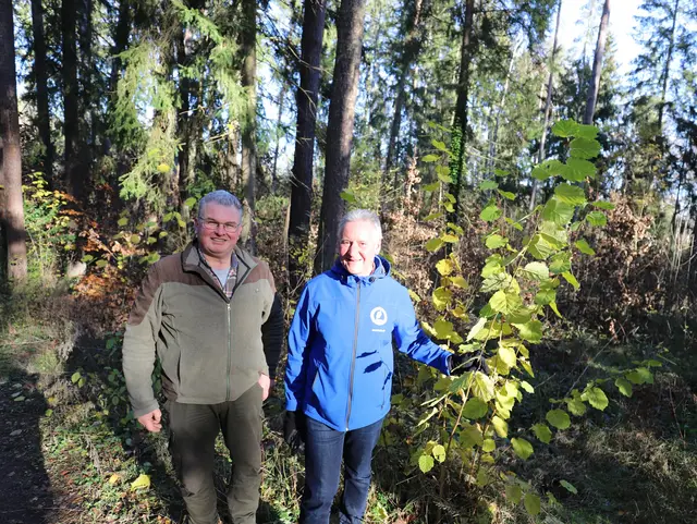 Thomas Jung und Martin Straußberger vor Bäumen im Stadtwald Fürth; Klick zeigt Bild in größerer Darstellung. 