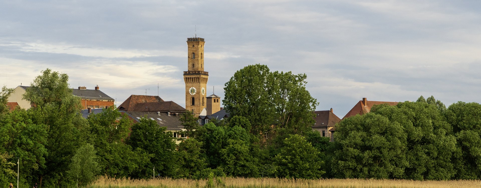 Wiesengrund mit Blumenwiese im Vordergrund und das Rathaus im Hintergrund