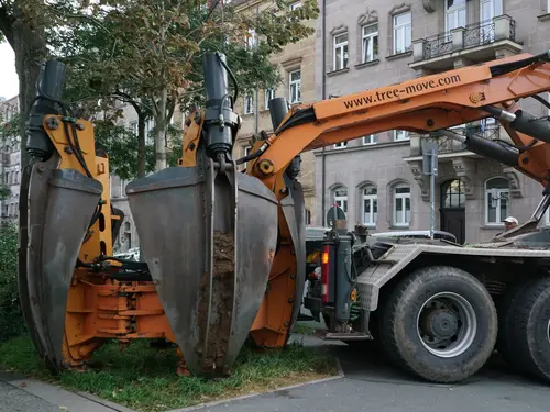 Ein Spezialfahrzeug mit einer Schaufel, die aus mehreren Segmenten besteht, entnimmt einen Baum.