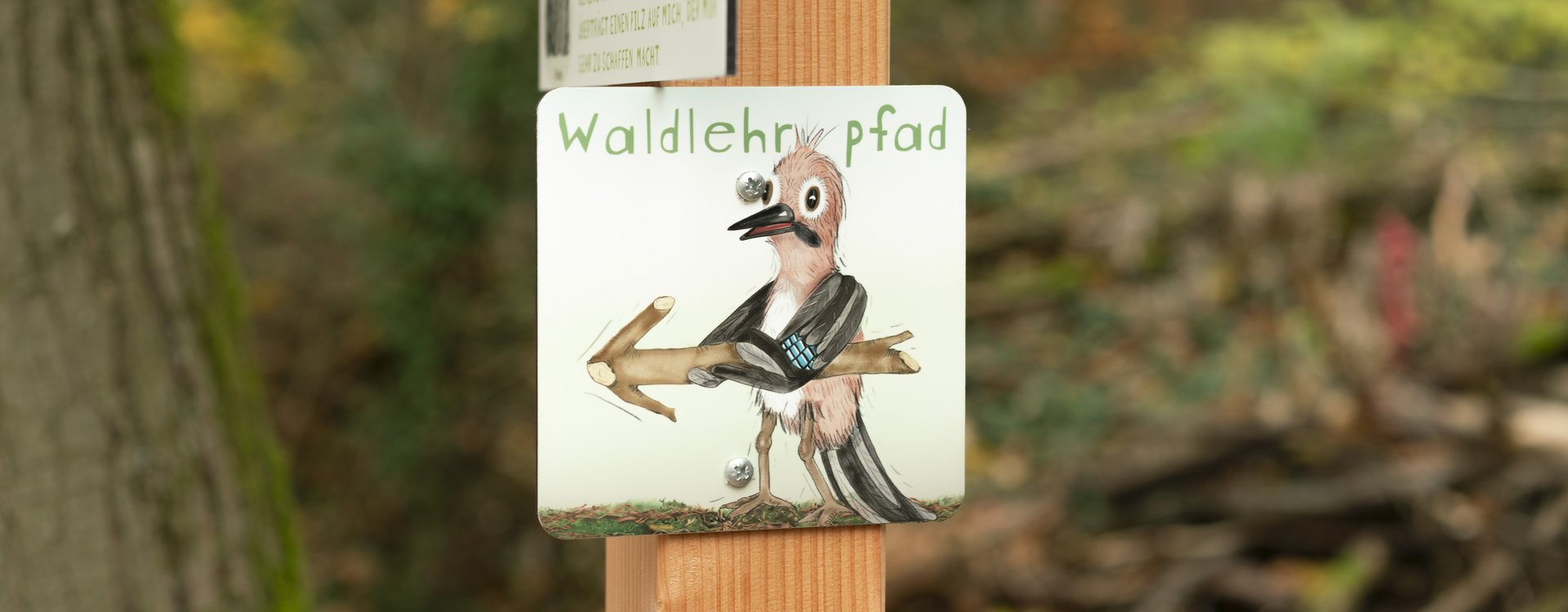 Wegweiser zum Waldlehrpfad