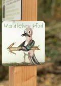 Wegweiser zum Waldlehrpfad