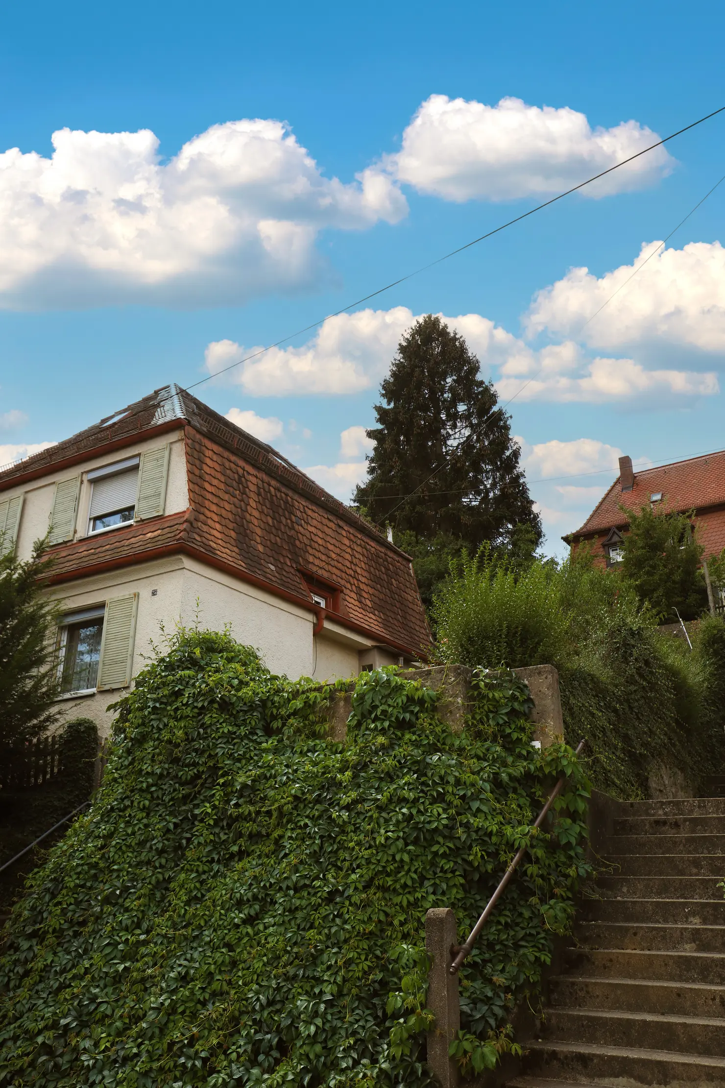 Straßenbegleitgrün im Eigenen Heim