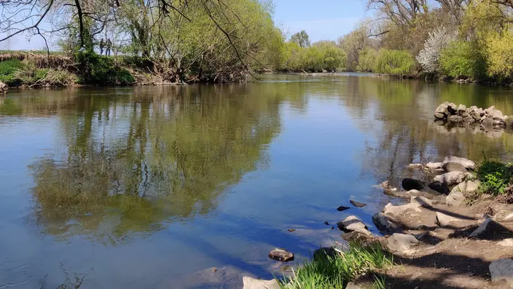 Flussdreieck bei Sonnenschein im Frühling