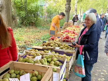 Apfelauswahl an einem Verkaufsstand des Apfelmarkts 2022