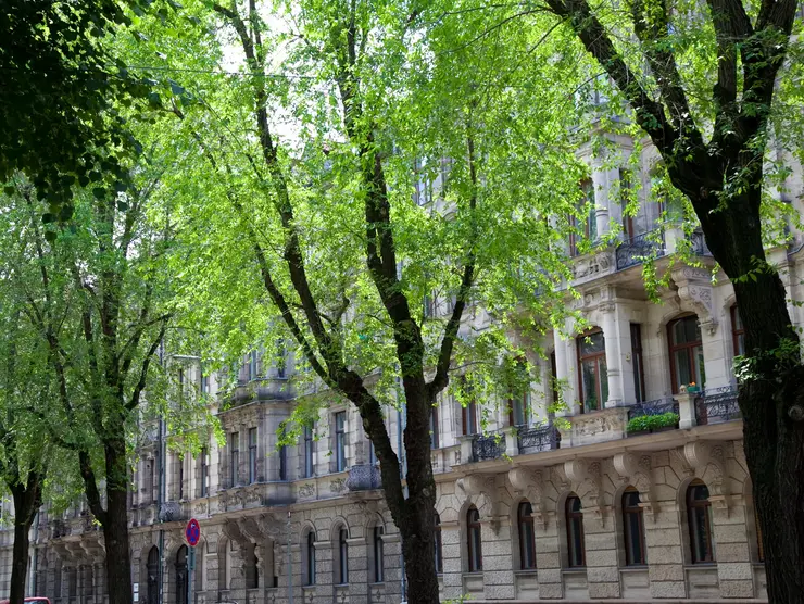 Bäume und Fassade in der Hornschuchpromenade