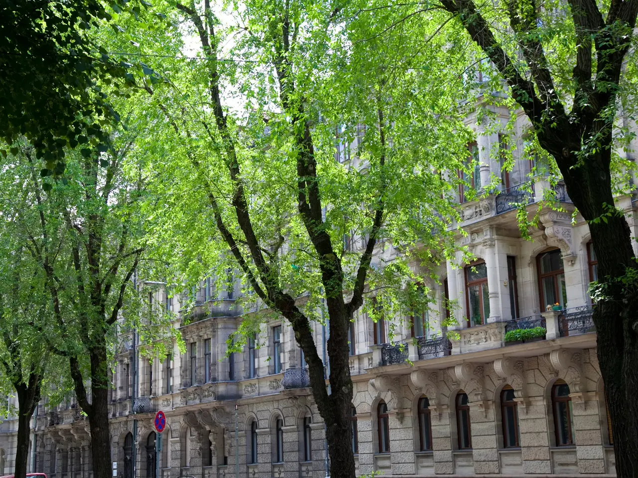 Bäume und Fassade in der Hornschuchpromenade; Klick zeigt Bild in größerer Darstellung