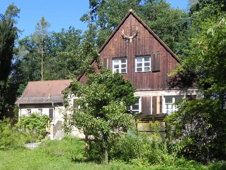 Frühlingshaftes Foto von der Stadtförsterei