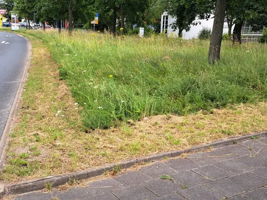 Straßenbegleitgrün ist nur zur Straße hin gemäht