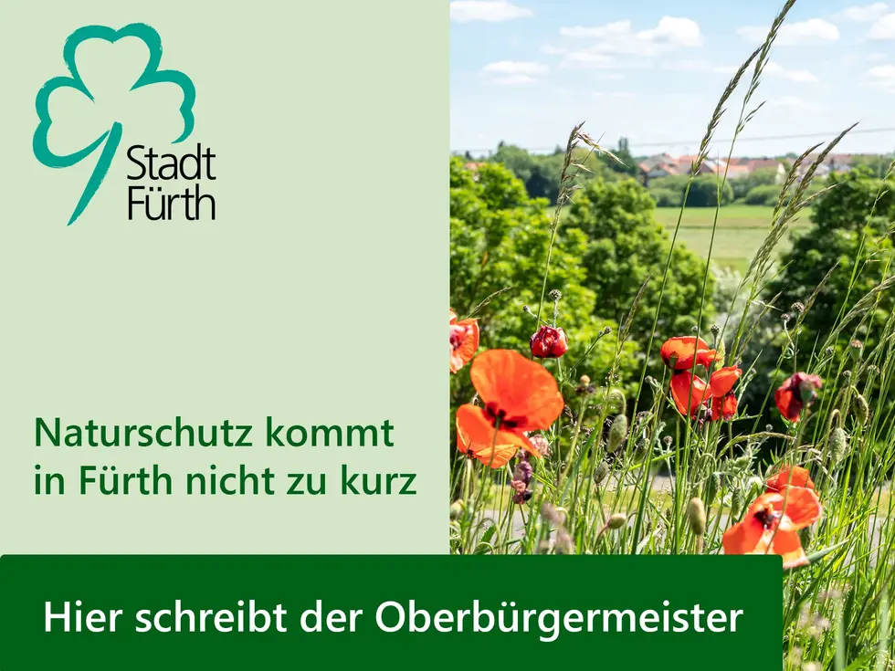 Grafik zum Thema "Naturschutz kommt nicht zu kurz" mit Foto vom Wiesengrund in Stadeln und Mohnblumen im Vordergrund. Klick öffnet Bild in größerer Ansicht.