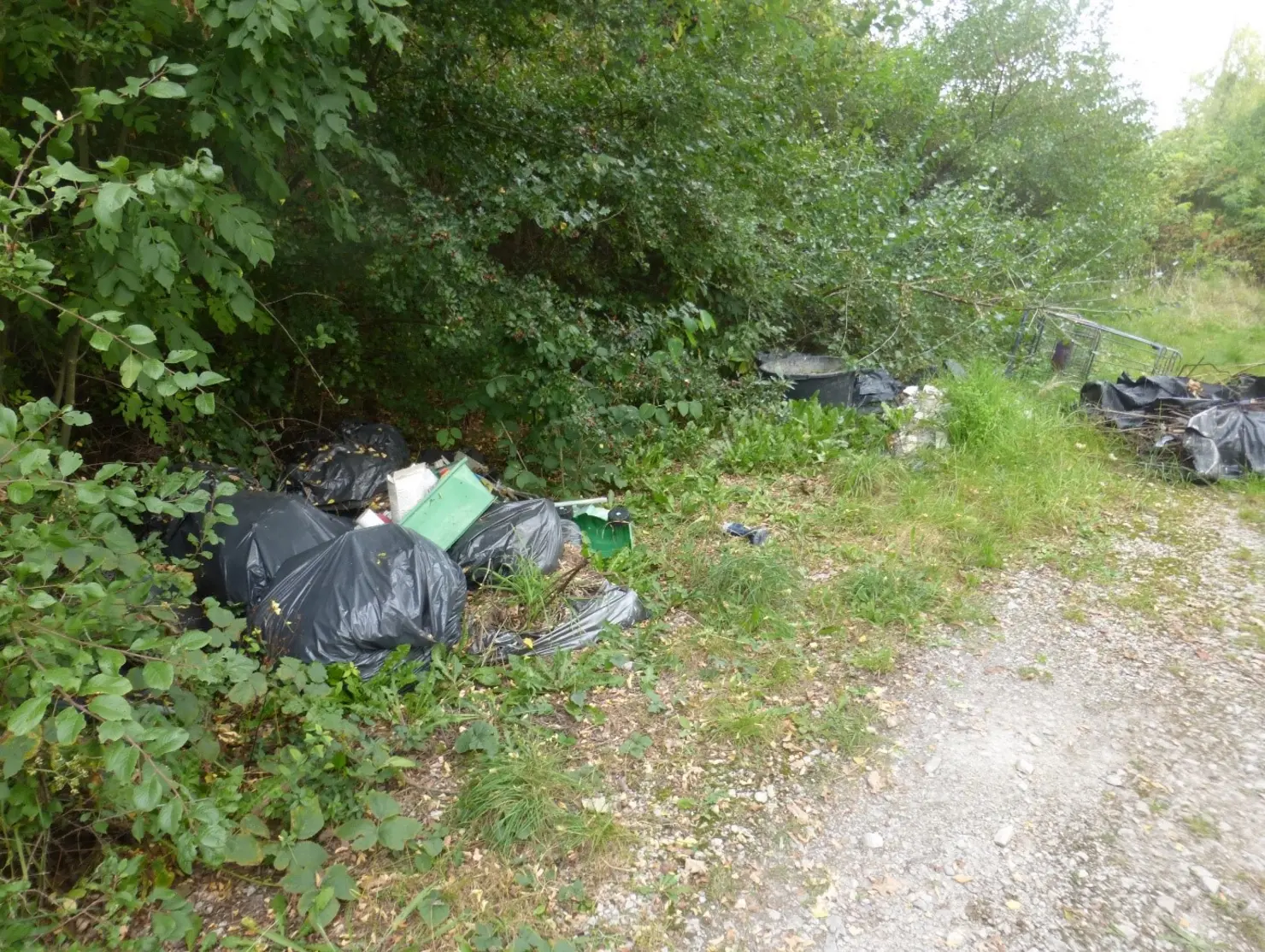 Graue Säcke achtlos am Waldrand abgelegt