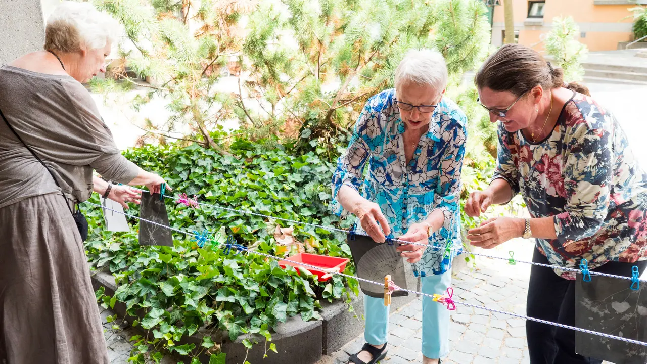 Drei Seniorinnen hängen Pflanzendrucke an einer Wäscheleine auf