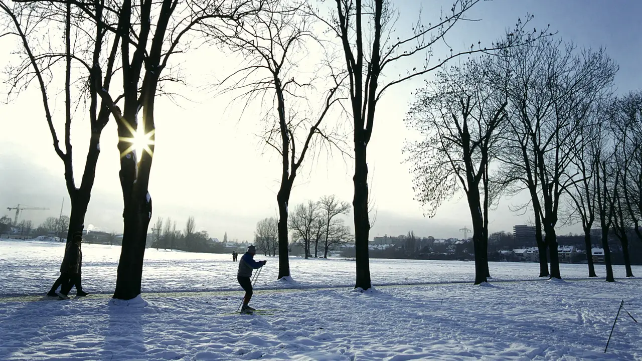 Langläufer im schneebedeckten Wiesengrund und Sonnenschein. 