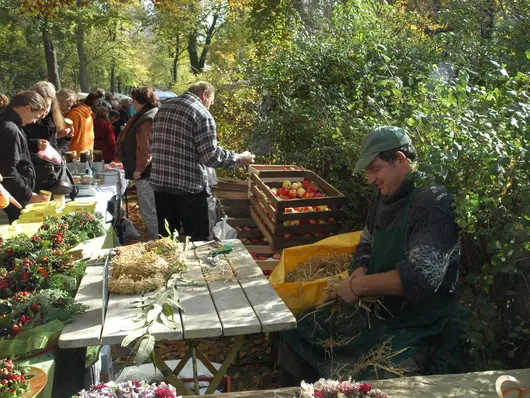 Person verkauft Äpfel am Stand; Klick vergrößert Bild 