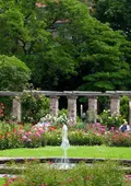 Stadtpark mit Rosengarten und Brunnen