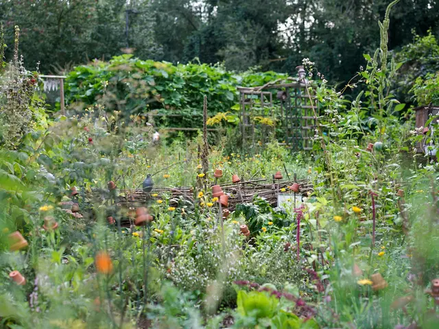 Bunter und dicht bewachsener Garten. Klick öffnet Bild in größerer Ansicht.