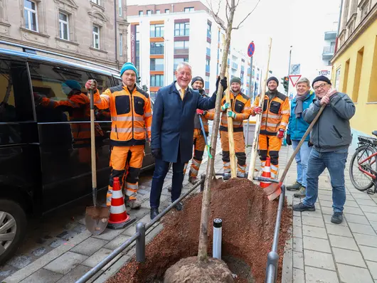 Der OB hält einen Baum am Stamm fest, der gerade eingepflanzt wird, um ihn herum die Mitarbeitenden, teilweise in oranger Arbeitskleidung. Klick öffnet Bild in größerer Ansicht.