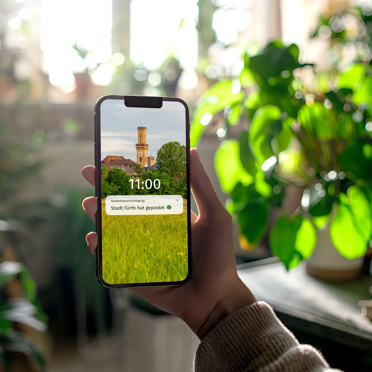 Hand hält Smartphone, das eine Benachrichtung erhalt, das die Stadt Fürth etwas gepostet hat, im Hintergrund Pflanzen