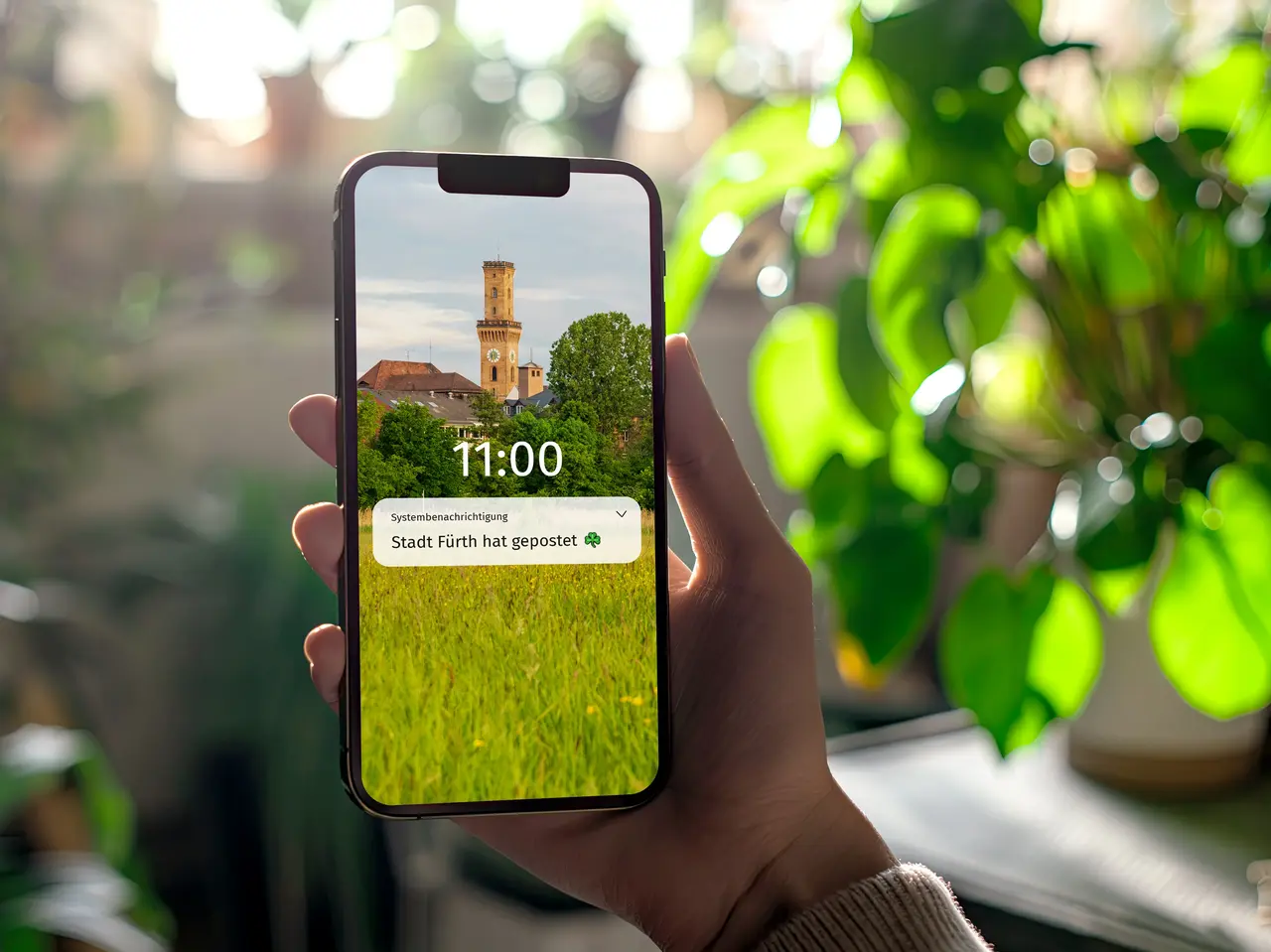 Hand hält Smartphone, das eine Benachrichtung erhalt, das die Stadt Fürth etwas gepostet hat, im Hintergrund Pflanzen
