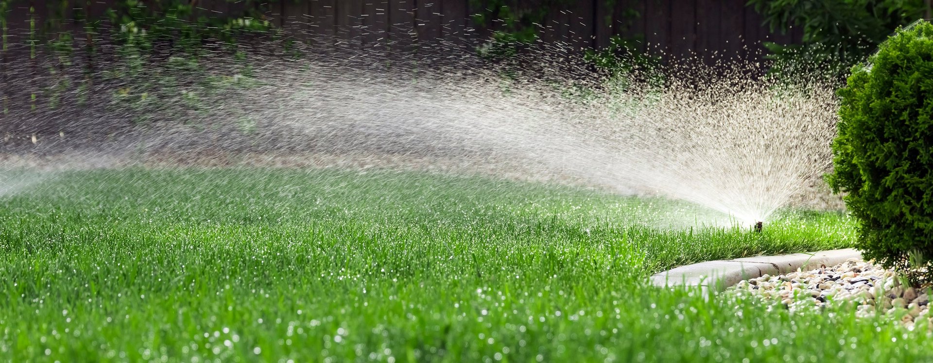 Rasensprenger bewässert Gras im Garten