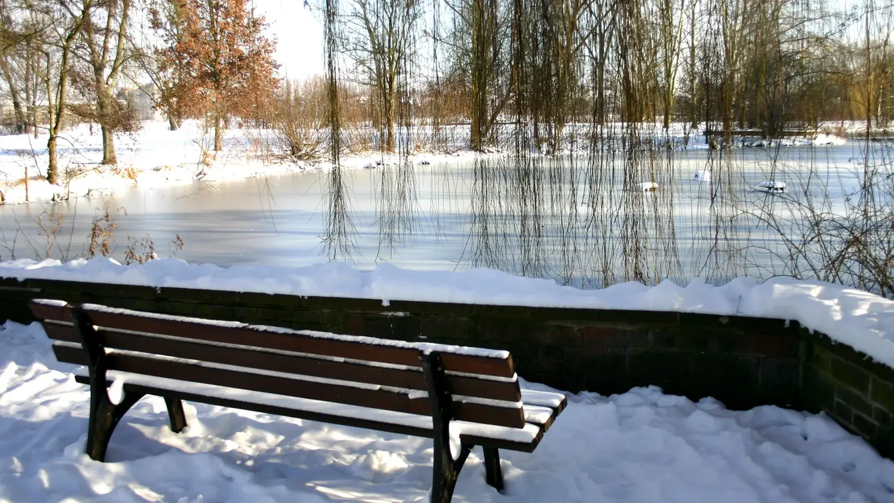 Stadtparkweiher in Winterlandschaft