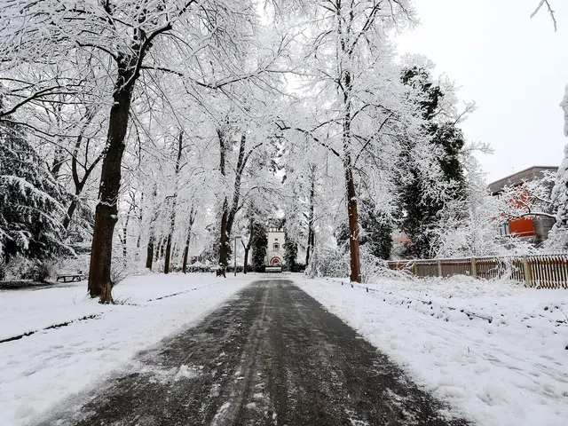 Verschneite Landschaft im Stadtpark und von Schnee befreiter Gehweg. Klick öffnet Bild in größerer Ansicht.