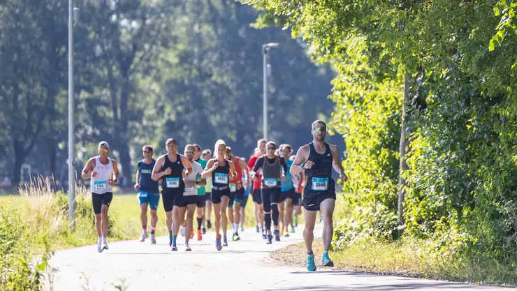 Läuferinnen und Läufer während des Metropolmarathons im Wiesengrund