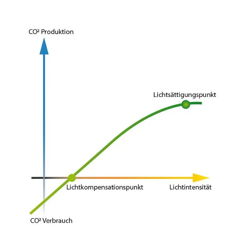 CO2-Produktion durch Lichteinfall Grafik