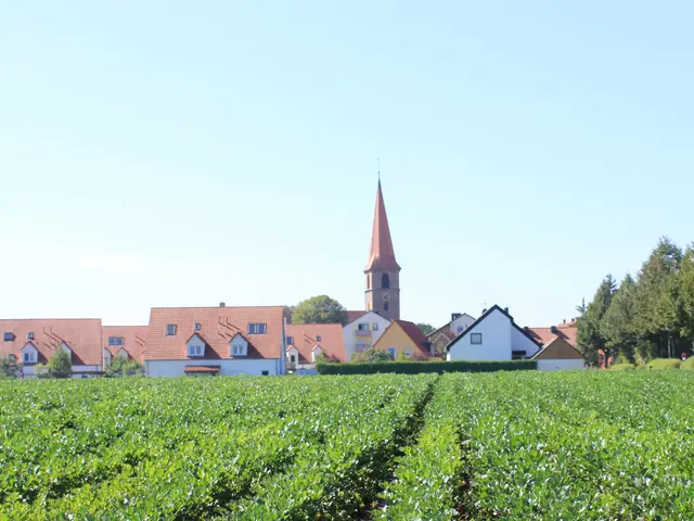 Panoramansicht von Poppenreuth mit Kirchturm und Feldern im Vordergrund.