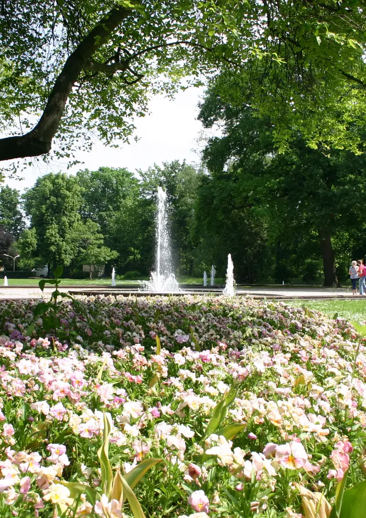 Springbrunnen im Stadtpark Fürth, im Vordergrund blühende Rabatten